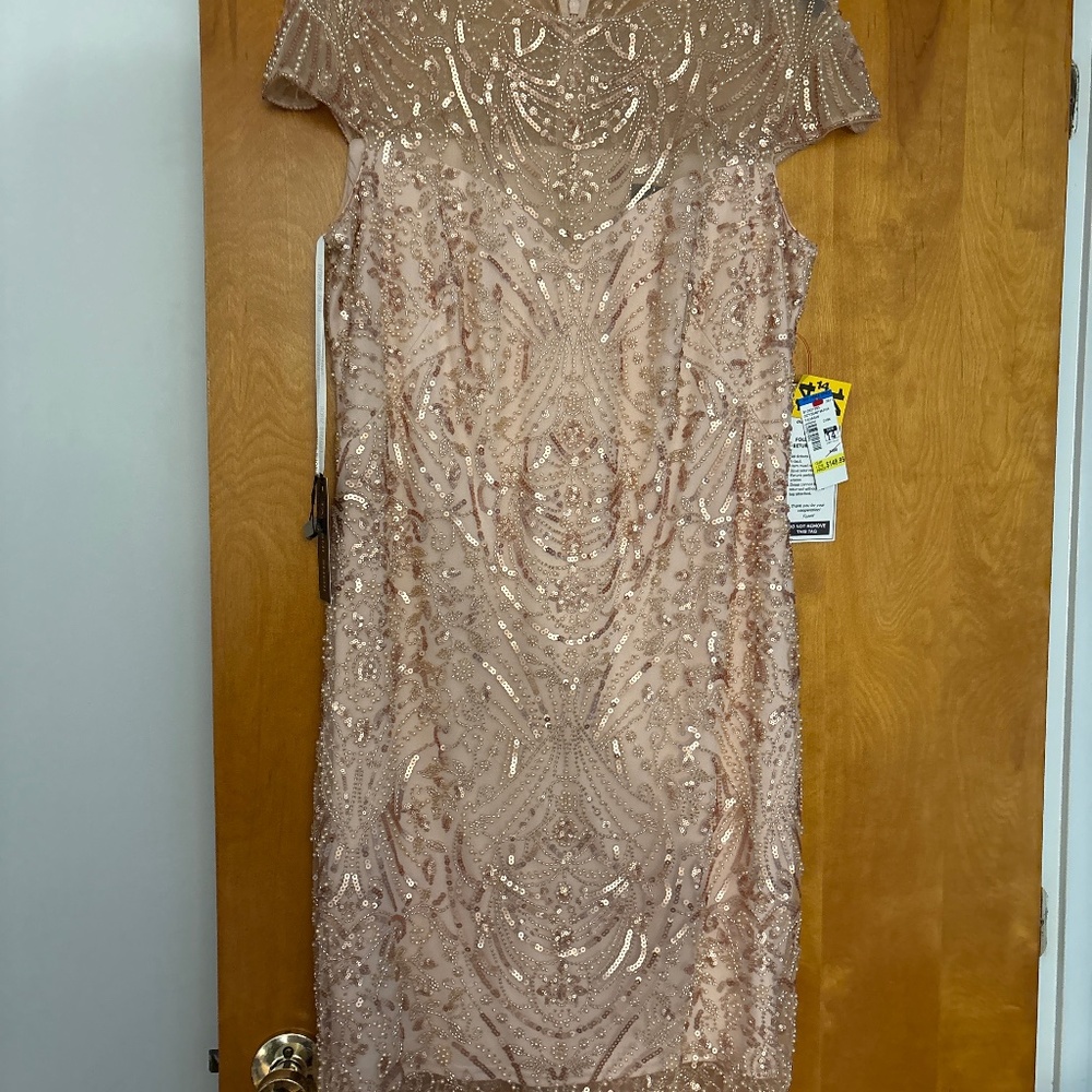 Tadashi Shoji Dress